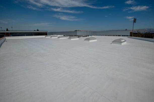 Best Roof Moss and Algae Removal  in Malibu, CA